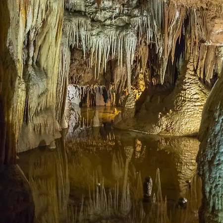 公寓 In - Istrien 33042 波雷奇